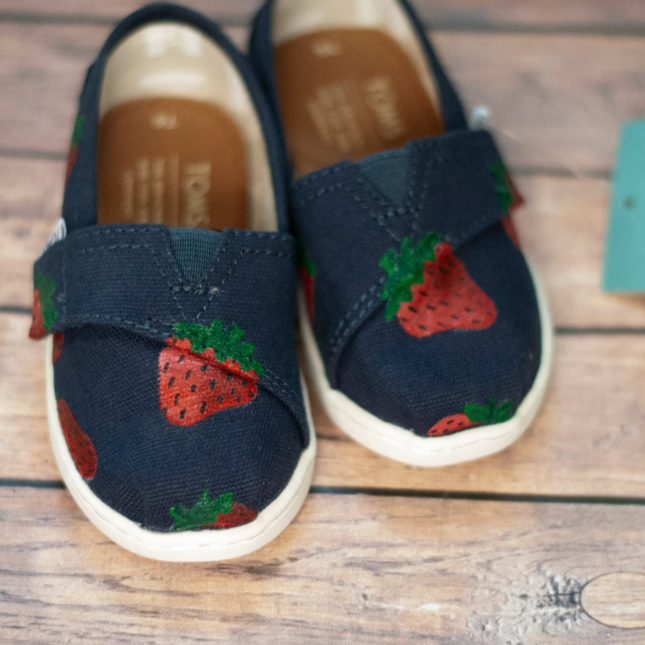 Hand Painted good Toms Shoes