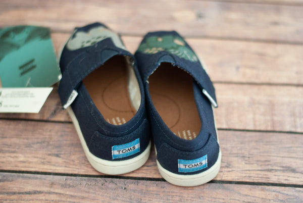 Dinosaur Toms | Hand Painted Dino Tiny Toms