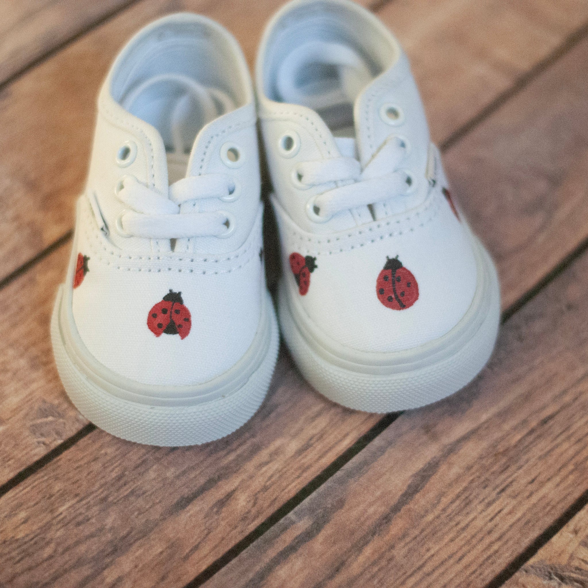 Hand Painted Ladybug Vans