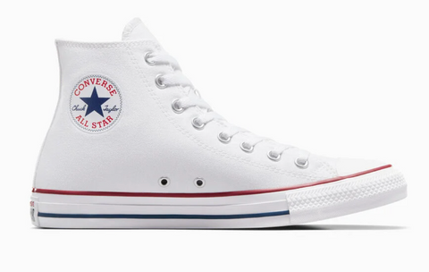 Custom Butterly and Dragonfly High Top Converse