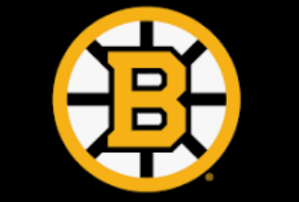 Custom Bruins Slip On Vans  for Kathy